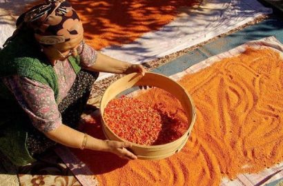Tarhana-ErsanTurk