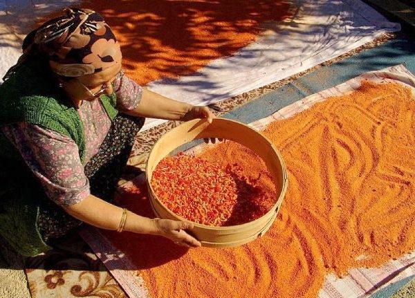 Tarhana-ErsanTurk
